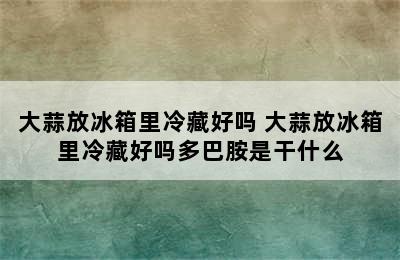 大蒜放冰箱里冷藏好吗 大蒜放冰箱里冷藏好吗多巴胺是干什么